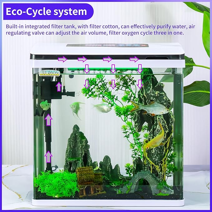 8 Gallon Fish Tank Starter Kit: Glass Aquarium w/Eco-Cycle Filter, 7-Color LED & Air Pump for Betta. Features 360° Crystal View, Temp/Time Display & Quiet Operation All-in-One Aquarium Kit-PurrikoPets