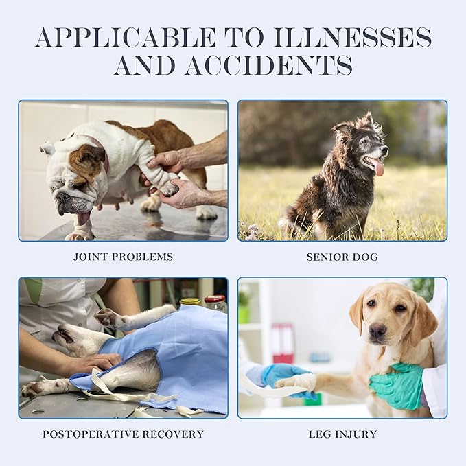 Dog Lift Harness, Full Body Support with Adjustable Control Handle for Large Senior Dogs, Post-Surgery Recovery & Joint Problems (Oxford Cloth, XL)-PurrikoPets