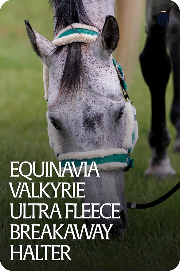 Equinavia Valkyrie Soft Ultra Fleece Padded Adjustable Breakaway Horse Halter - Turquoise/White - Warmblood-PurrikoPets