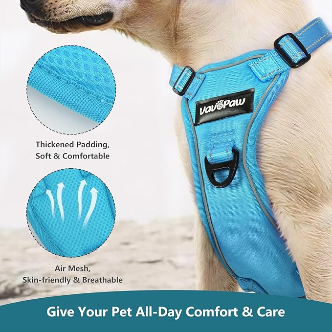 Dog Seat Belt Harness for Car, Dog Car Harness Adjustable Mesh Breathable & Dogs Seatbelt Safety Tether with Elastic Bungee for Small Medium Large Pets(Blue, M)-PurrikoPets