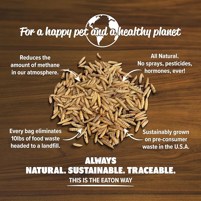 Eaton Pet and Pasture Premium Grubs, USA Grown Dried Black Soldier Fly Larvae, High Calcium Treat for Chickens, Ducks, Wild Birds (5 LB)-PurrikoPets