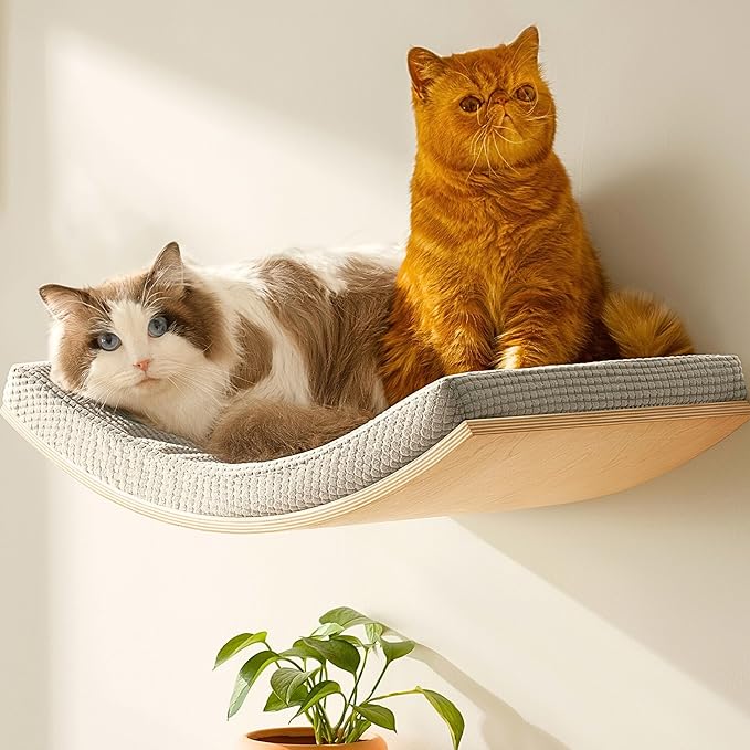 Extra Large 23.6”×14.6” CALLICO HAVEN- Stylish Cat Wall Shelves with Curved Design, Modern Wall-Mounted Cat Tree Hammock with Soft Cushion, Sturdy/Hidden Mounts, Washable Cover, Sleek Design -C Shape-PurrikoPets
