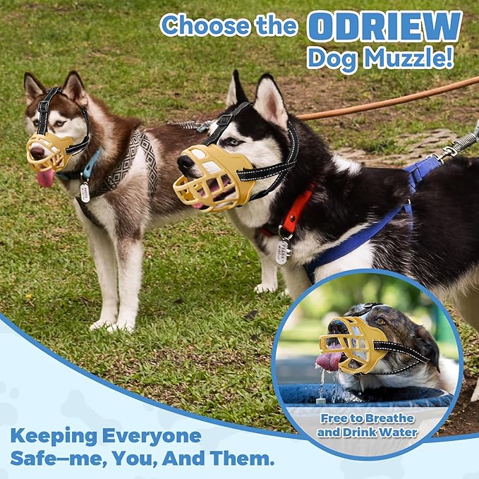 Dog Muzzle for Large Dogs, Breathable Basket Muzzles for Small, Medium and X-Large Aggressive Dog, Allows Panting Drinking, Suitable for Grooming Trimming Training (6, Luminous Orange)-PurrikoPets