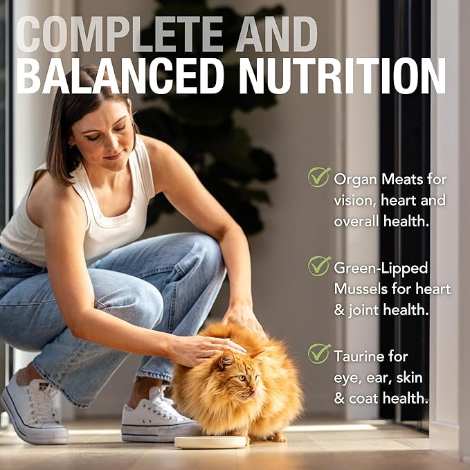 Feline Natural New Zealand Canned Catfood Wet Food, High-Meat, Low-Carb, & Grain Free Cat Food Wet, Chicken and Lamb Feast, 6 oz, Pack of 12-PurrikoPets