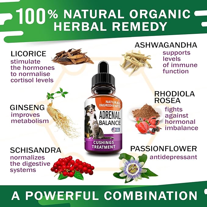 Adrenal Balance for Dogs and Cats - Cushings Treatment for Pets, Adrenal Support w/ Ashwagandha, Licorice Root, Rhodiola Rosea - 2oz Herbal Drops-PurrikoPets