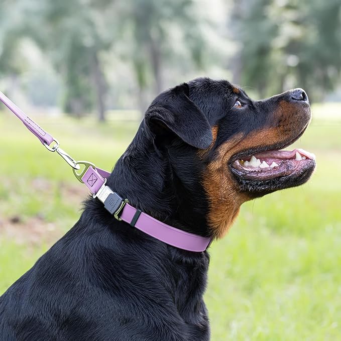 Dogline Biothane Waterproof Dog Collar with Herm Sprenger Stainless Steel Quick Release Buckle – Heavy Duty Tactical Durable Collar for Dogs – Comfortable and Safe Pet Collar, W 1" L 15-25", Amethyst-PurrikoPets