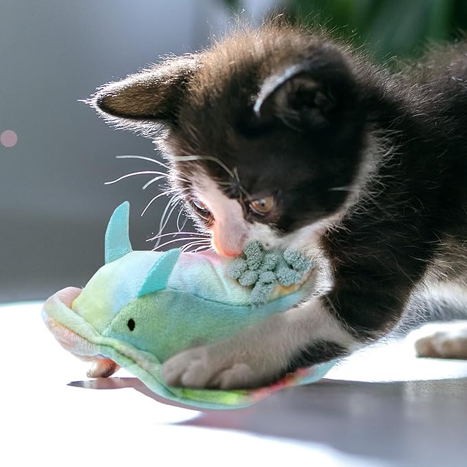 Furhaven 2-Pack Cat Toys w/ 2x Catnip Bags for Indoor Cats, Washable & Durable w/ Refillable Catnip Pocket - Plush Sea Slug Cat Toy Set - Blue/Tie Dye, Set of 2-PurrikoPets