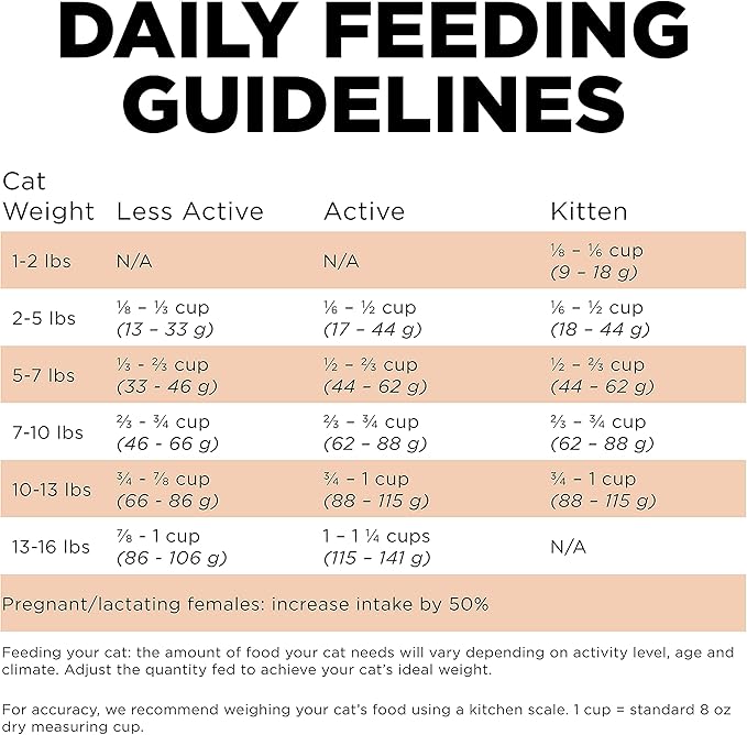 Go! Solutions Skin + Coat Care, Grain-Free Dry Cat Food, Salmon Recipe, 16 lb Bag-PurrikoPets