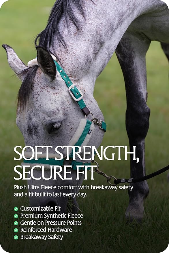 Equinavia Valkyrie Soft Ultra Fleece Padded Adjustable Breakaway Horse Halter - Turquoise/White - Warmblood-PurrikoPets
