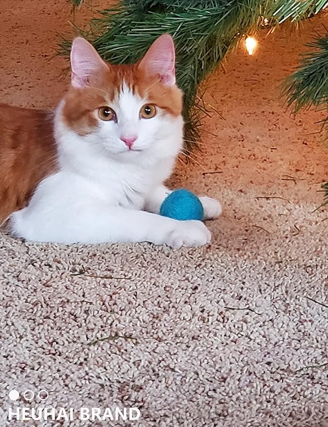 40-Pack Cat Balls – Fun Interactive Toys for Indoor Cats & Kittens (Basic Cat Toy Set)-PurrikoPets