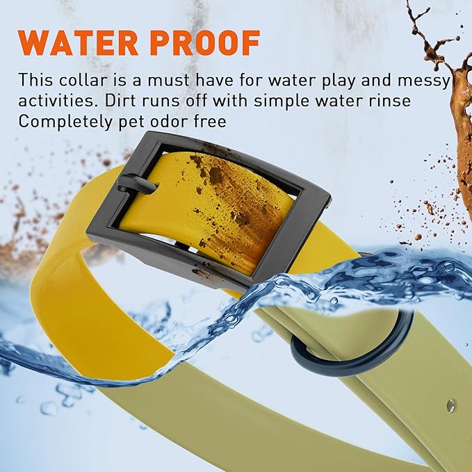 Dogline Biothane Waterproof Dog Collar Strong Coated Nylon Webbing with Black Hardware Odor- Proof for Easy Care Easy to Clean High Performance Fits Small Medium or Large Dogs, Treasure Gold-PurrikoPets