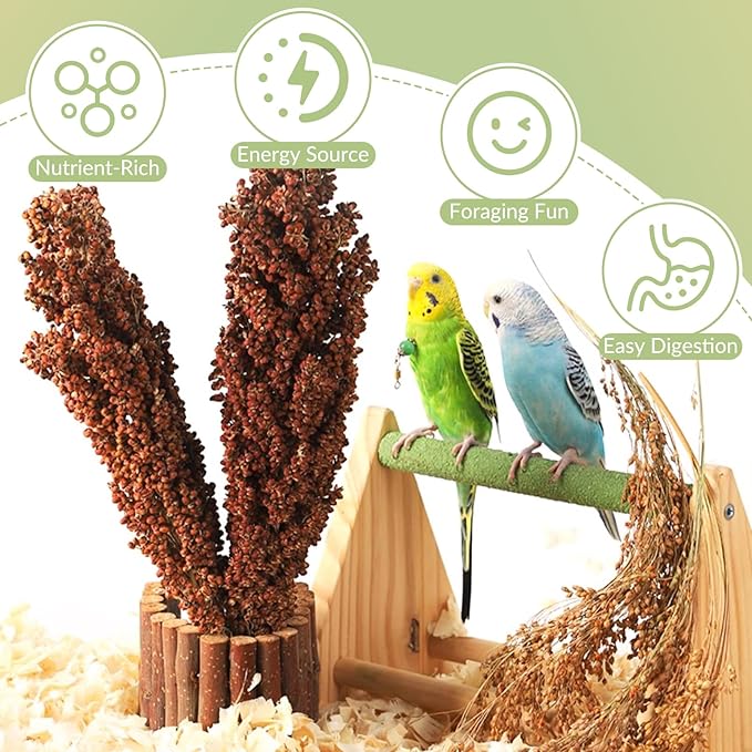 Fhiny Millet Spray for Birds, 3 PCS Natural Sun-Dried Red Sorghum Grain for Birds Seed Original Parrot Treats & Supplement Parakeet Food for Cockatiels Lovebirds Finches Budgies Pigeons Hamsters-PurrikoPets