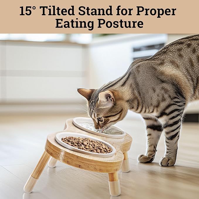 Elevated Cat Bowls - Set of 2 Ceramic Pet Food Bowls with Anti-Slip Bamboo Stand - 15 Degree Titled - Raised Dog Bowl for Small Dogs - Raised Cat Bowl Stand - Pet Feeding Station for Cats & Small Dogs-PurrikoPets