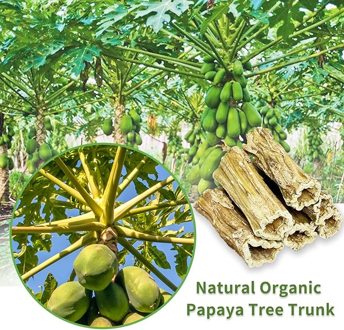 Fhiny Rabbit Chew Toys, 6 PCS 3.9" Natural Papaya Wood Chew Sticks Guinea Pig Treats for Dental Care Bunny Treats for Rabbits Small Pet Molar Snacks for Bunny Guinea Pig Chinchilla Hamster Gerbil-PurrikoPets