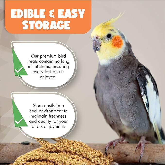 5LBS GMO-Free Sun Dried Spray Millet - Original Bird Treat Millet for Parakeets, Cockatiels, Finches & More - Non-GMO, High in Amino Acids, Easy Storage, Tasty & Healthy Bird Snacks (5 lbs)-PurrikoPets