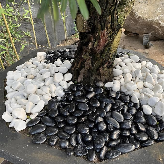 10 lbs Pebbles for Outdoor Landscaping, 1-2 inch Black River Rocks for Plants Indoor, Decorative Black Stones for Planters Vase Aquarium Rocks and Garden Rocks-PurrikoPets