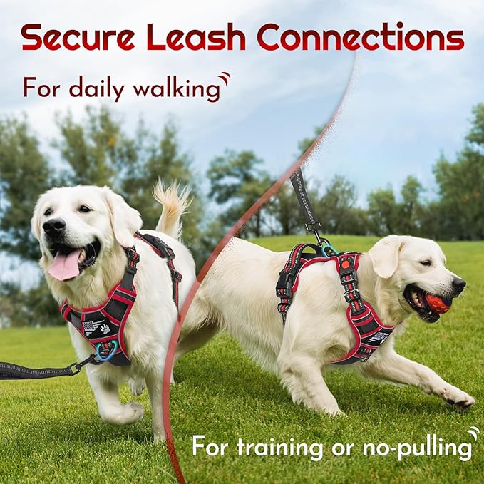 Eagloo Dog Harness Small Sized, Easy Wearing with 3 Buckles, Adjustable No Pull Pet Harness with 2 Rings for Walking, No Chock Reflective Soft Padded Vest with Control Handle, Black & Red, S-PurrikoPets