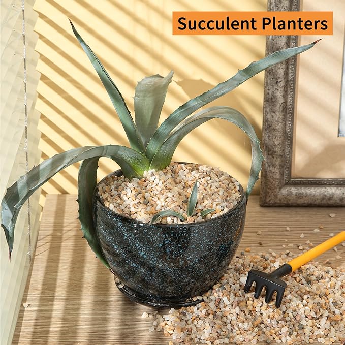 5lb Mixed Sand Rocks Pebbles Pumice Potting Soil Amendment Succulent Cactus Bonsai Gritty Rock Decorative Gravel for Succulents, Bonsai, Vase Fillers,Terrarium Plants-PurrikoPets