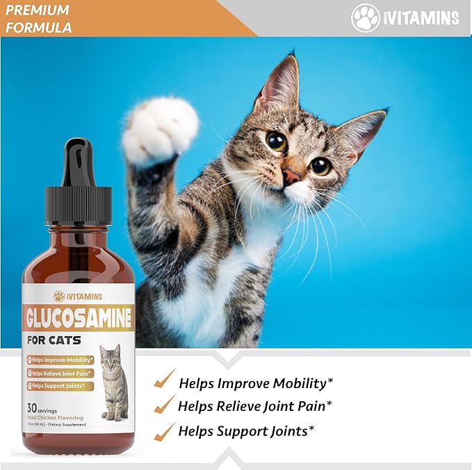 Glucosamine for Cats | Cat Glucosamine | Glucosamine for Cats Liquid | Cat Joint Supplement | Joint Supplement for Cats | Cat Joint Pain Relief | Joint Support for Cats | 1 fl oz: Chicken Flavor-PurrikoPets