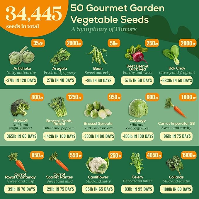 50 Gourmet Garden Vegetable Seeds Variety Pack - 34,455+ Non-GMO Heirloom Vegetables Seeds for Planting Indoor Outdoor: Broccoli, Carrot, Onion, Lettuce, Pepper - Gardening Seed Packets-PurrikoPets