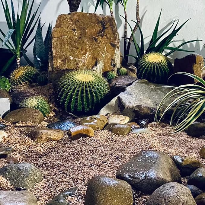 5lbs Aquarium Gravel, 1/8"(2-4mm) Natural River Rocks Succulent Cactus Pea Gravel for Plants, Fish Tank, Decorative Pebbles for Gardening, Flower Pots, Vase Fillers, Landscaping-PurrikoPets