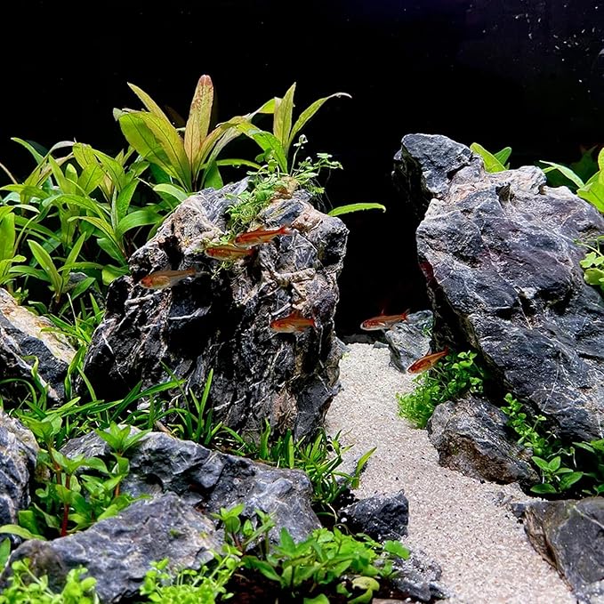 2-4 Inches Natural Seiryu Stone 10 PCS Aquarium Rocks for Aquascaping, Aquarium Landscaping, Terrariums, Fish Tank Decoration, Vivariums, Paludarium, Reptile and Amphibian Enclosures-PurrikoPets