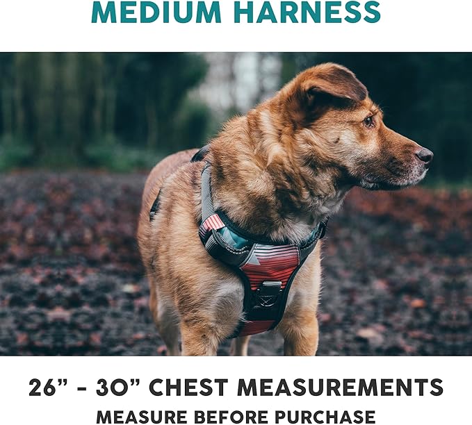 Embark Adventure Dog Harness, Reflective Trim No Pull Dog Harness Medium Sized Dogs - Military Grade Nylon, Front Clip with Gel Lined Handle.-PurrikoPets