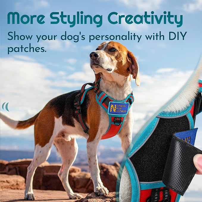 Eagloo Dog Harness Medium Sized, Easy Wearing with 3 Buckles, Adjustable No Pull Pet Harness with 2 Rings for Walking, No Chock Reflective Soft Padded Vest with Control Handle, Red & Teal, M-PurrikoPets