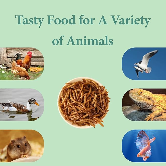 2LB Dried Mealworms for Poultry, Wild Birds,Tasty Bird Food-PurrikoPets