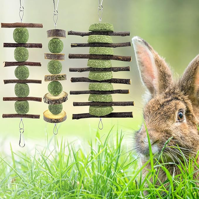 ERKOON Bunny Chew Toys, Rabbit Chew Toys for Teeth Grinding, Improve Dental Health, 100% Natural Apple Wood Timothy Grass Cake Treats for Rabbits Guinea Pigs Chinchillas Bunnies Hamsters (3 Pcs)-PurrikoPets