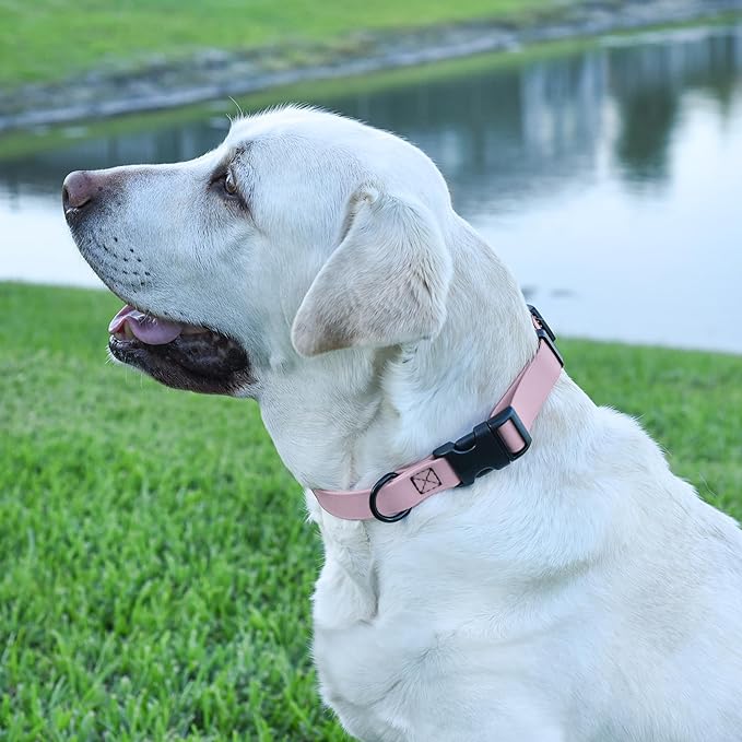 Dogline Biothane Waterproof Dog Collar with Quick Release Buckle Strong Coated Nylon Webbing with Odor- Proof for Easy Care Easy to Clean Fits Small Medium Large Dogs, Lavender 5/8" W 9-14" L-PurrikoPets