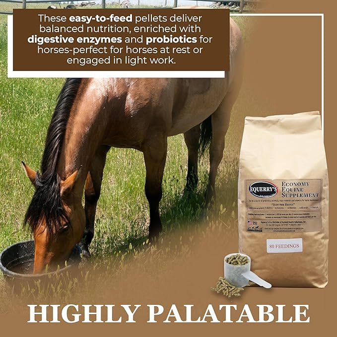 Equerry's Economy Equine Supplement - Horse Probiotics | Supplement for Horses | Horse Vitamins and Minerals Supplement with Enzymes and Selenium, 10lb-PurrikoPets