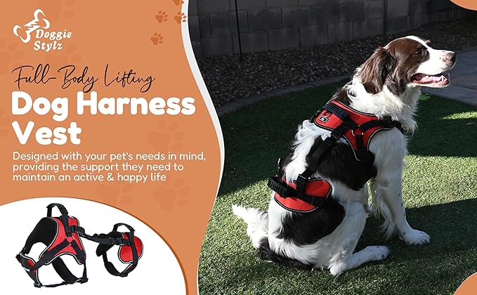 Doggie Stylz Multi-Functional Full-Body Lifting Dog Harness Vest, Designed for Front-Only, Rear-Only or Full-Body Dog Lifting. Please Measure Before Ordering.-PurrikoPets