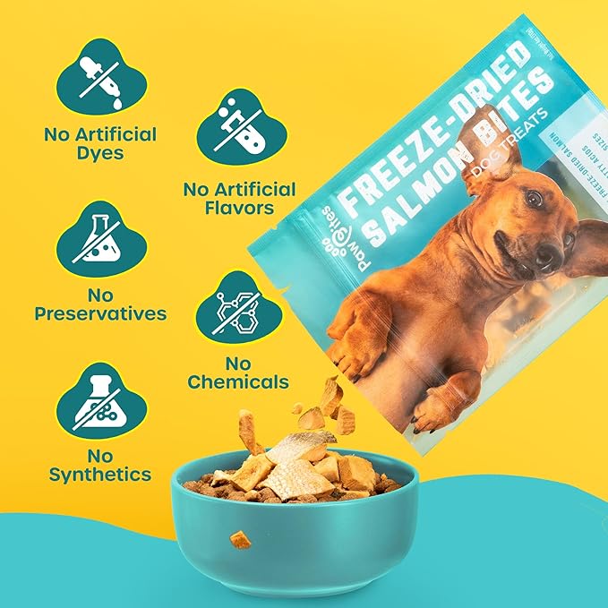 Freeze Dried Dog Treats - Wild Caught Salmon - Dog Food Dry Snacks - with Protein & Omega 3s - for All Breeds & Sizes - No Artificial Flavors & Dyes, No Preservatives - 1 Pouch, 4 oz-PurrikoPets