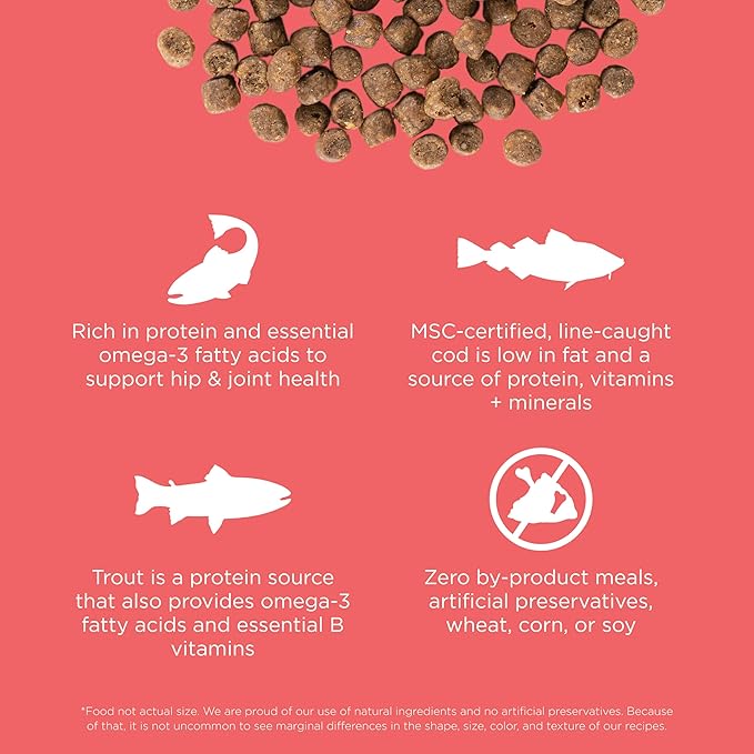 Go! Solutions Carnivore, Grain-Free, Protein Rich Dry Cat Food, Salmon and Cod Recipe, 3 lb Bag-PurrikoPets