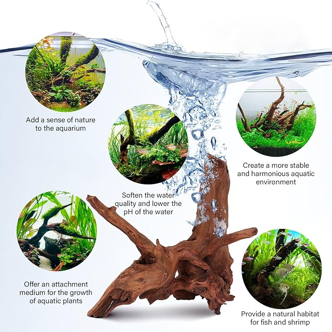 Driftwood for Aquarium Natural Aquarium Wood for Aquascaping Fish Tank Decorations Reptile Tank Decor (Natural Driftwood 6-10" (Pack of 3)+Protein Cotton)-PurrikoPets