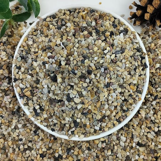 5lbs Aquarium Gravel, 1/8"(2-4mm) Natural River Rocks Succulent Cactus Pea Gravel for Plants, Fish Tank, Decorative Pebbles for Gardening, Flower Pots, Vase Fillers, Landscaping-PurrikoPets