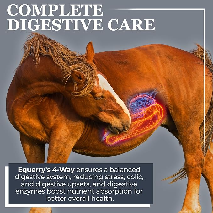 Equerry's Combined RX 4 Way | Equine Nutritional Support | Complete Formula | Digestive and Joint Support | Hoof & Hair | Probiotics Vitamins & Minerals 160 Feedings, 20lb.-PurrikoPets
