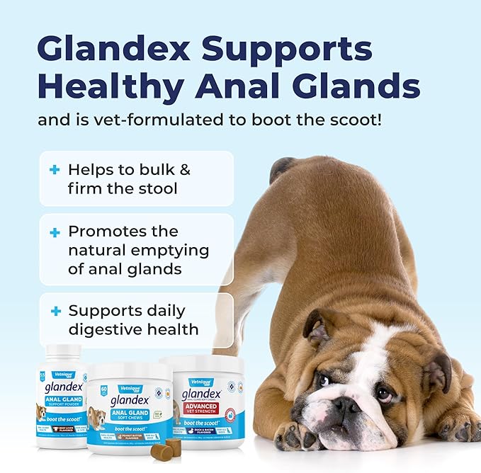Glandex Dog Fiber Supplement Powder for Anal Glands with Pumpkin, Digestive Enzymes & Probiotics - Vet Recommended (Regular or Advanced Strength) - Boot The Scoot (5.5 oz, Vegan Salmon)-PurrikoPets