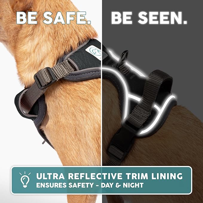 Embark Adventure Dog Harness, Reflective Trim XL Harness for Extra Large Dogs No Pull - Military Grade Nylon, 2 Leash Clips & Gel Lined Handle. Soft & Padded Puppy Dog for Any Breed-PurrikoPets