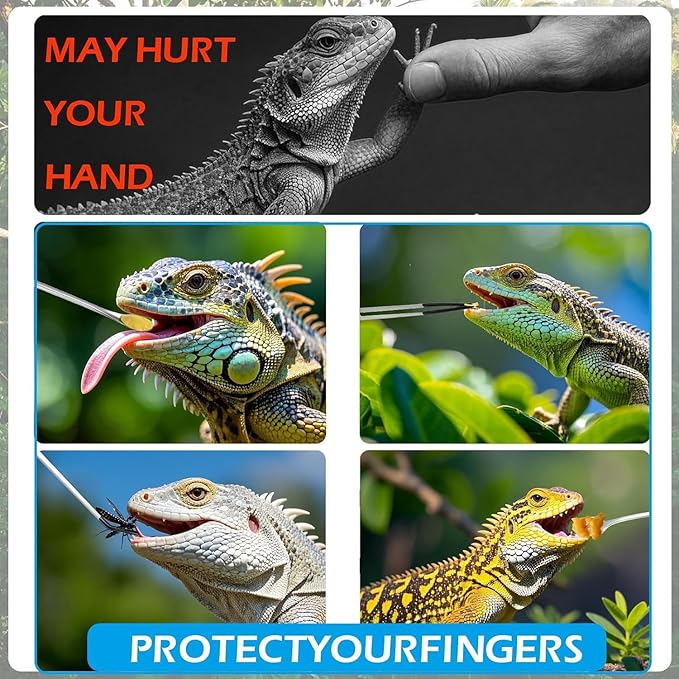 5 Pcs Reptile Feeding Tools Set with Silicone Tips - Extra Long Straight&Curved Tongs, Spoons, Scissors - Stainless Steel Terrarium Feeder Kit for Bearded Dragons, Lizards, Snake, Spiders, Aquarium-PurrikoPets