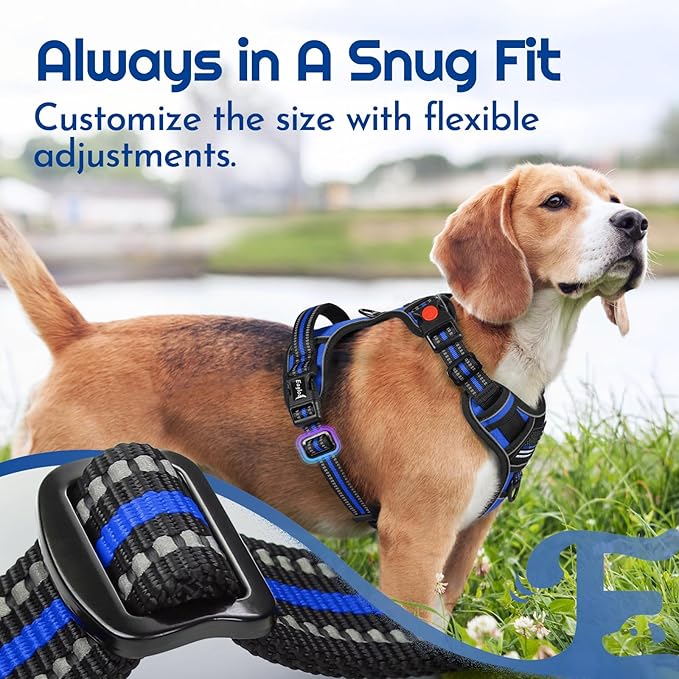 Eagloo Dog Harness for Large Dogs, Easy Wearing with 3 Buckles, Adjustable No Pull Pet Harness with 2 Rings for Walking, No Chock Reflective Soft Padded Vest with Control Handle, Blue & Black, L-PurrikoPets
