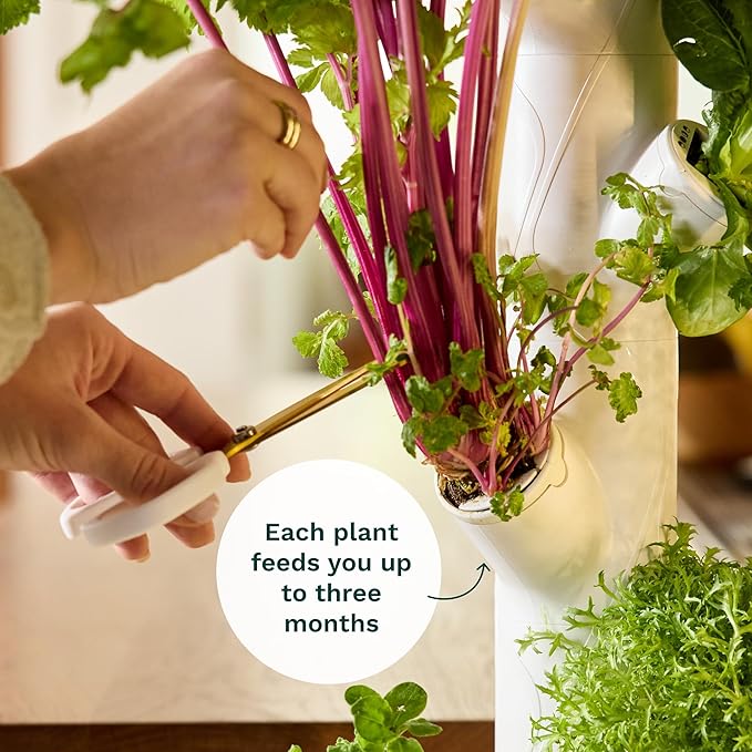 Gardyn 4.0 Hydroponics Growing System Kit & Vertical Garden Planter, 30 Non-GMO Indoor Plants Smart Garden, Herbs, Vegetables & LED Grow Lights for Indoor Gardening System-PurrikoPets