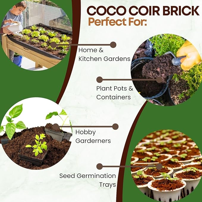 6 Pack Premium Coco Coir Brick for Plants | 100% Organic Compressed Coconut Coir Bricks Starting Mix, Coco Coir Fiber Coconut Husk for Planting, Gardening, Potting Soil Substrate, Herbs, 1.4 LB/Brick-PurrikoPets