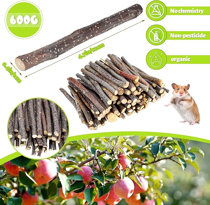 600g Small Apple Sticks Animals Molar Wood Treats Toys for Rabbits Chinchillas Guinea Pig Hamster Gerbil Parrot Bunny Chew Stick Toys Treats, 21.2 OZ-PurrikoPets