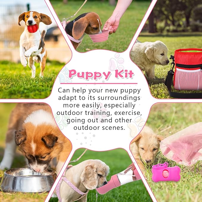 65 Pcs Puppy Supplies Starter Kit Small Dog Essentials Includes Dog Leash, Toys, Bowl, Brushes, Water Bottles, pet Blankets Puppy Accessories for New Welcome Gift Supplies(Cute,Pink)-PurrikoPets