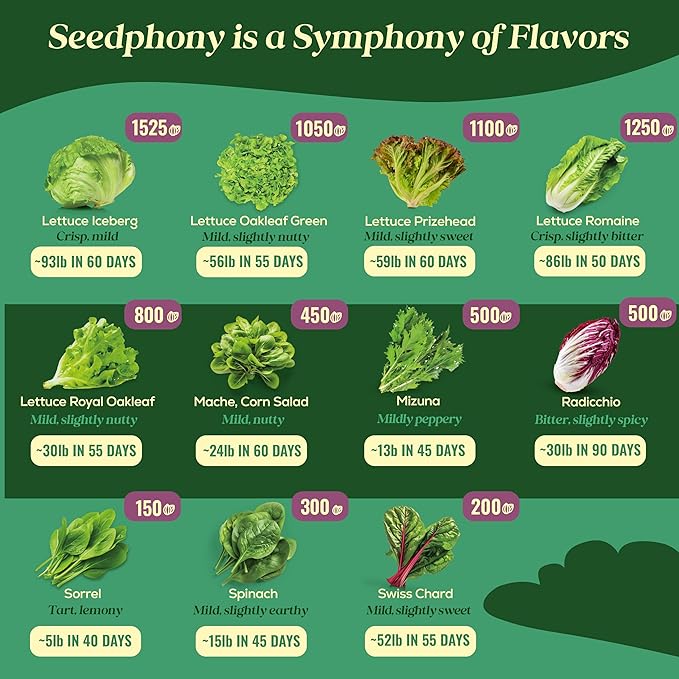 23 Lettuce & Salad Greens Seeds Variety Pack - 25,000+ Non-GMO Heirloom Greens Seeds for Planting Lettuce Indoor & Outdoor: Arugula, Mizuna, Kale, Spinach, Swiss Chard, Mache & More Lettuce Seeds-PurrikoPets