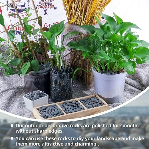 18lb Small Smooth River Rocks Pebbles for Plants & Succulents, Decorative Outdoor Landscaping Garden Rocks, Natural Mexican Beach Pebbles, Gravel for Aquarium, Fish Tanks, Vase and Yard Decor-PurrikoPets