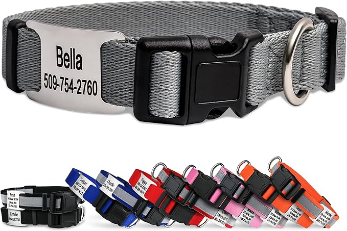 GoTags Personalized Dog Collar with Nameplate, Adjustable Dog Collar with Custom Engraved Slide On Pet ID Tag in Stainless Steel, Silent, No Noise Dog Tag (Light Gray, Small)-PurrikoPets