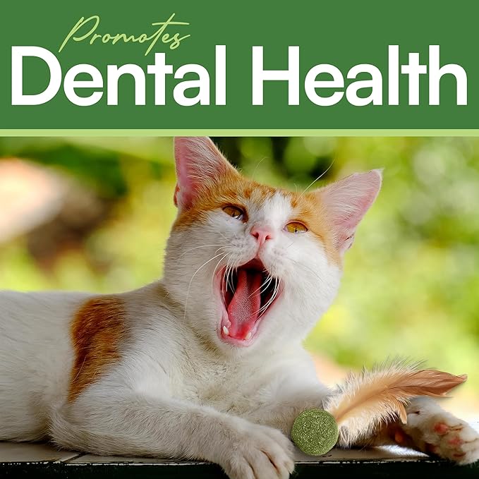 3 Pcs Catnip Balls with Feathers – Natural Catnip Toy for Play, Stress Relief & Healthy Enrichment Interactive Cat Toys Perfect for Indoor Cats & Kittens, Encourages Active Play & Wellness-PurrikoPets